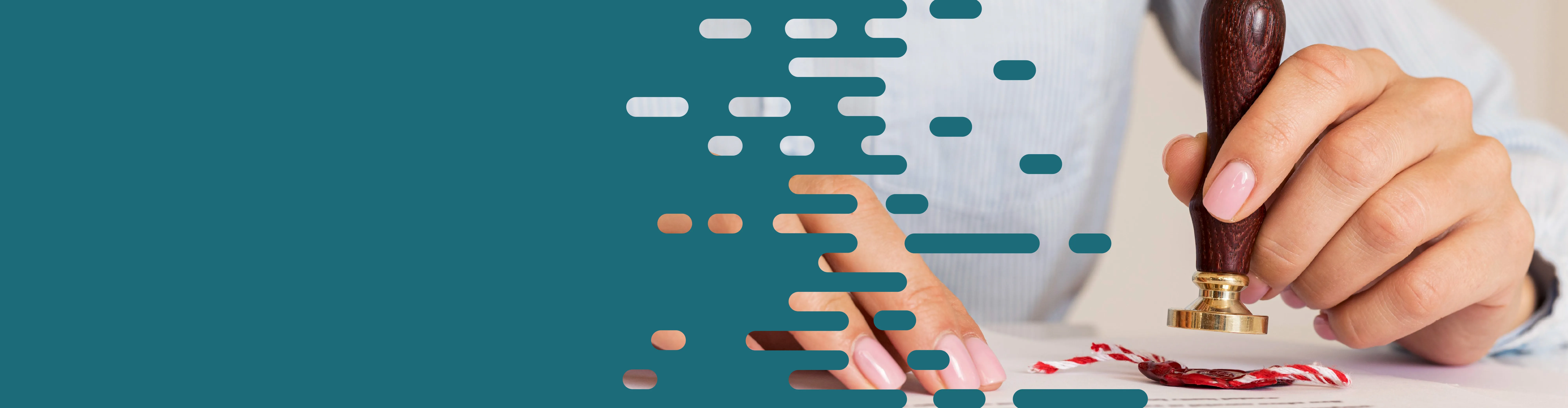 Updated Stamp Duty Audit Framework